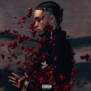 做爱视频哔哩哔哩
